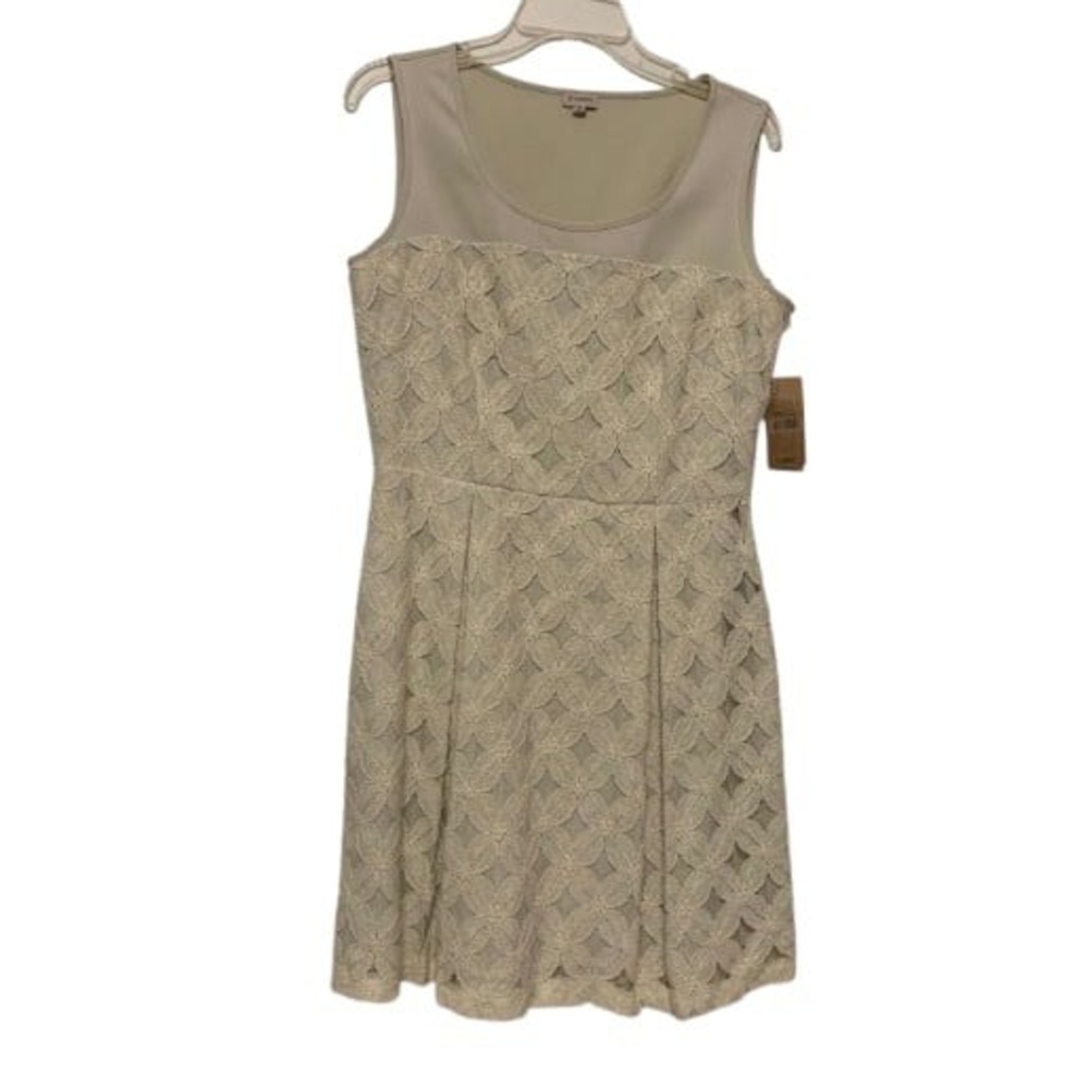 Cremieux Callie Dress‎ Women's Sz 8 NWT Lined